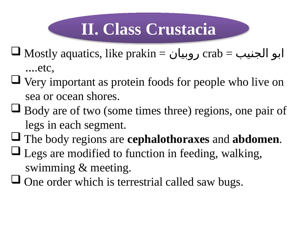 Phylum: Arthropoda Lab 18 introduction Characters - slide 11 of 19