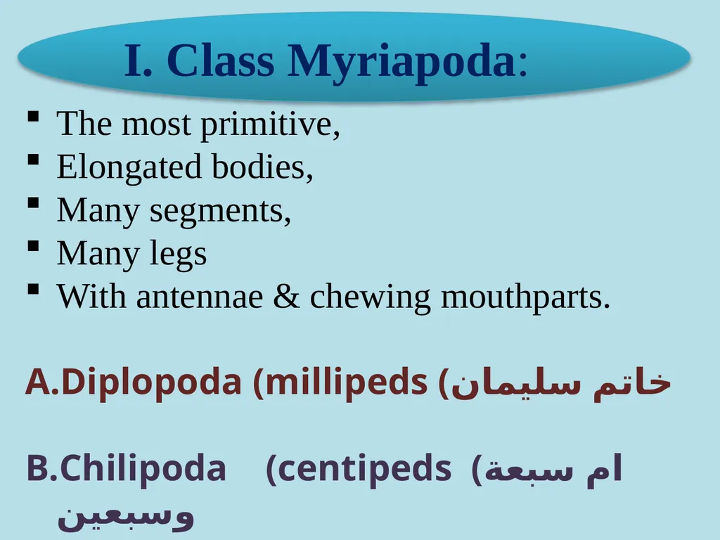 Phylum: Arthropoda Lab 18 introduction Characters - slide 6 of 19