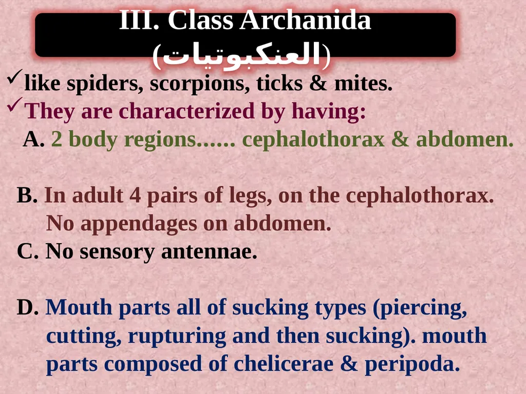 Phylum: Arthropoda Lab 18 introduction Characters - slide 14 of 19
