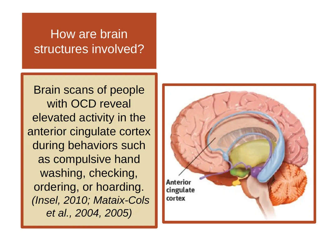 Unit 12 Abnormal Behavior Module 66 Anxiety - slide 36 of 46