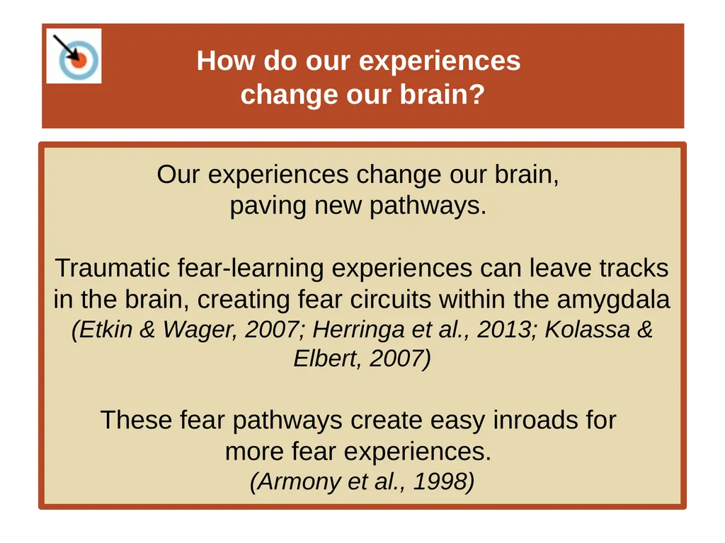 Unit 12 Abnormal Behavior Module 66 Anxiety - slide 35 of 46