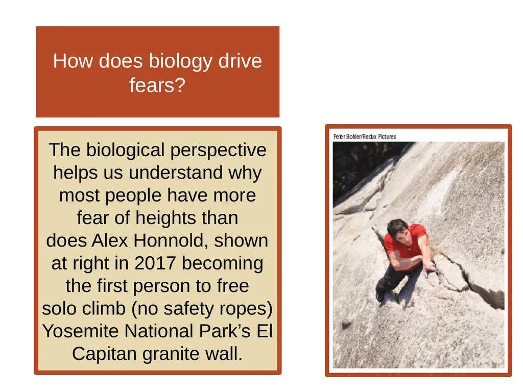 Unit 12 Abnormal Behavior Module 66 Anxiety - slide 38 of 46