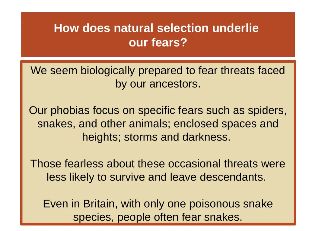 Unit 12 Abnormal Behavior Module 66 Anxiety - slide 39 of 46