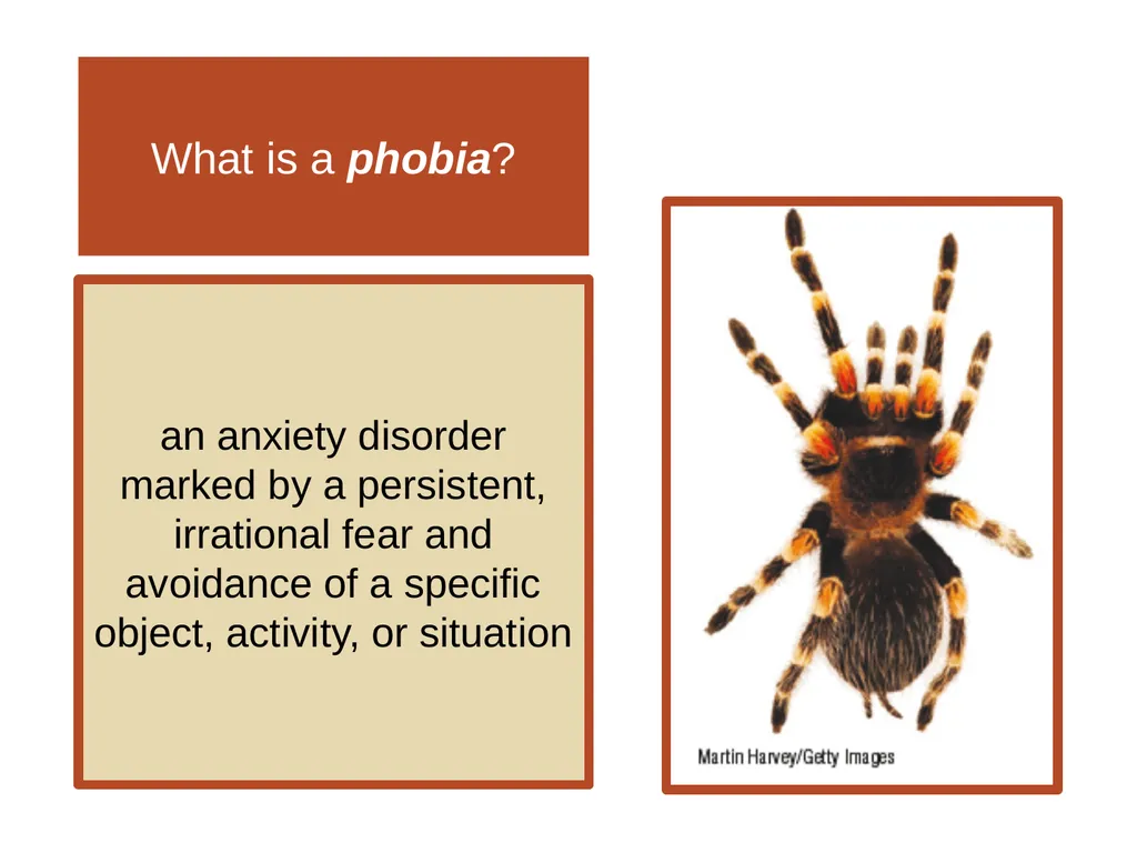 Unit 12 Abnormal Behavior Module 66 Anxiety - slide 13 of 46
