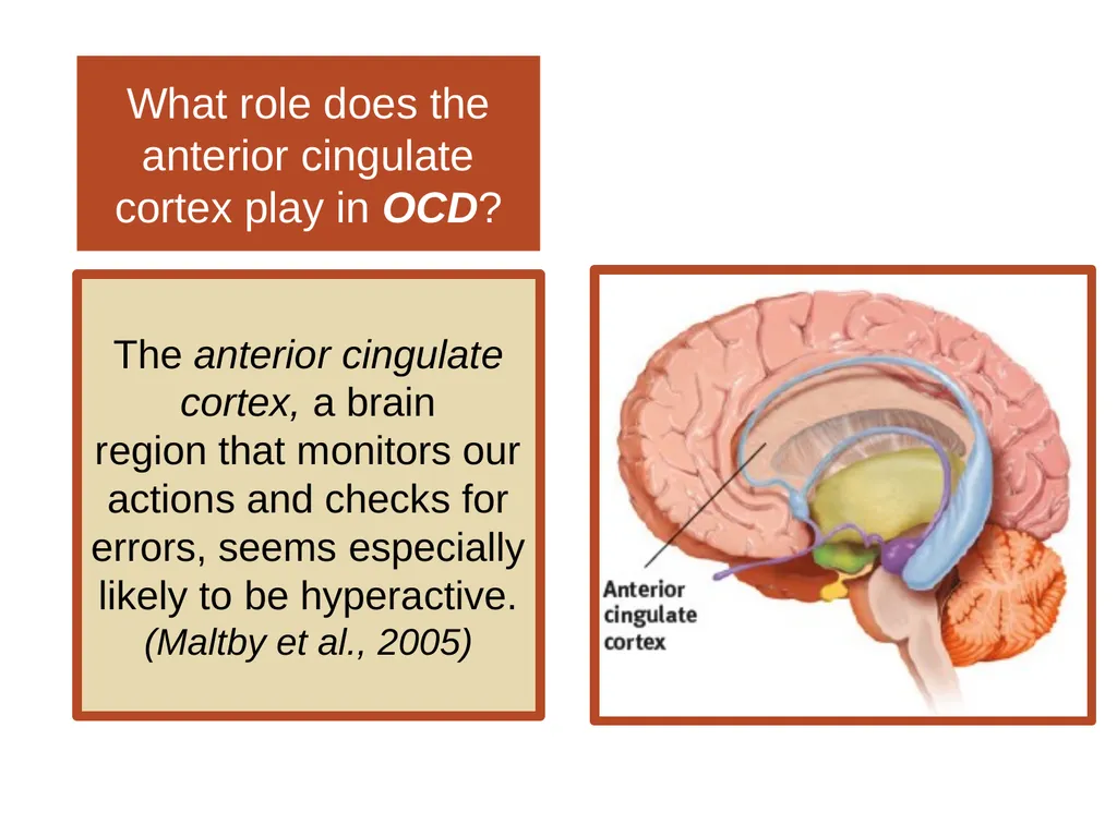 Unit 12 Abnormal Behavior Module 66 Anxiety - slide 37 of 46