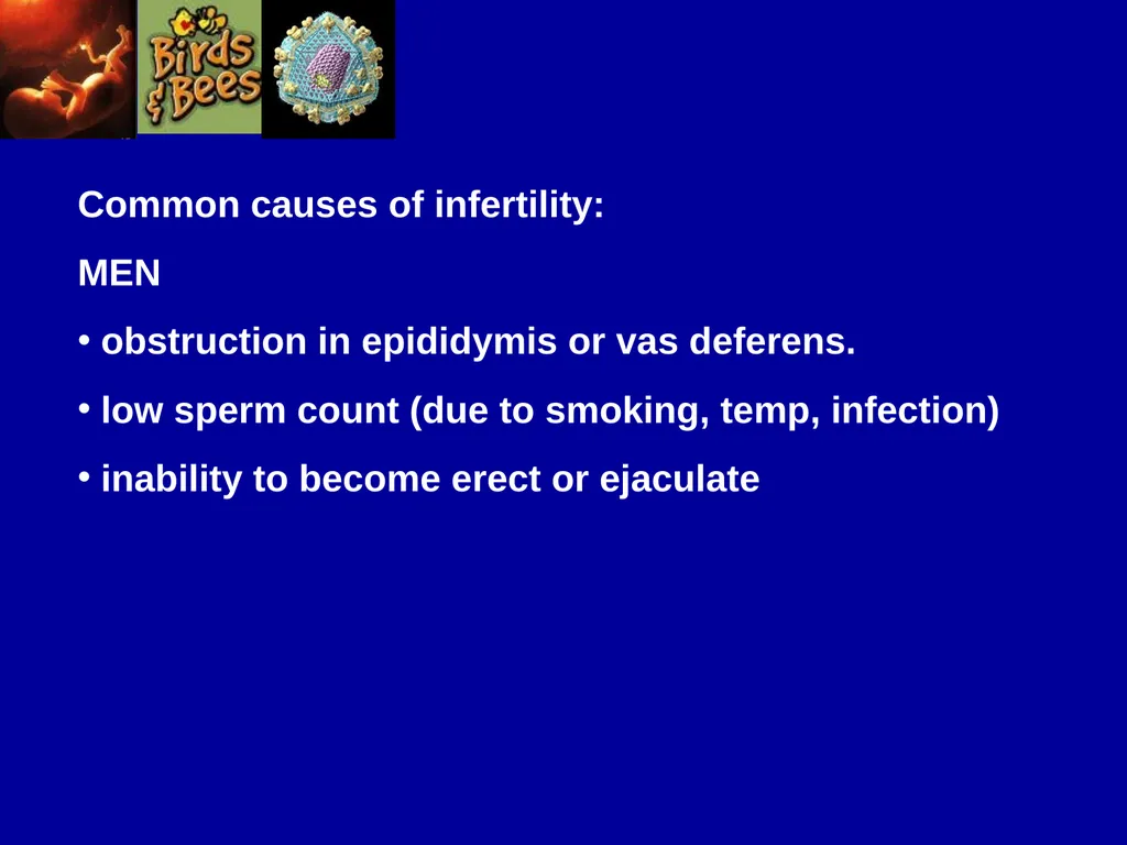 Pre – natal testing what is it and why do - slide 11 of 23