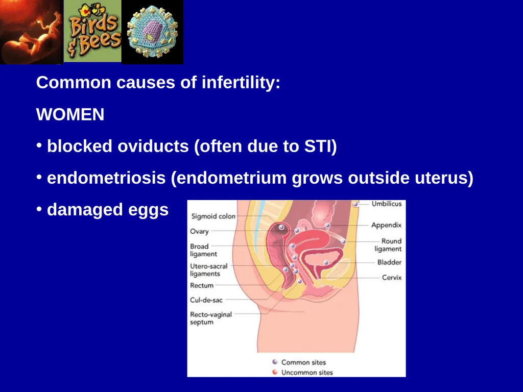 Pre – natal testing what is it and why do - slide 12 of 23