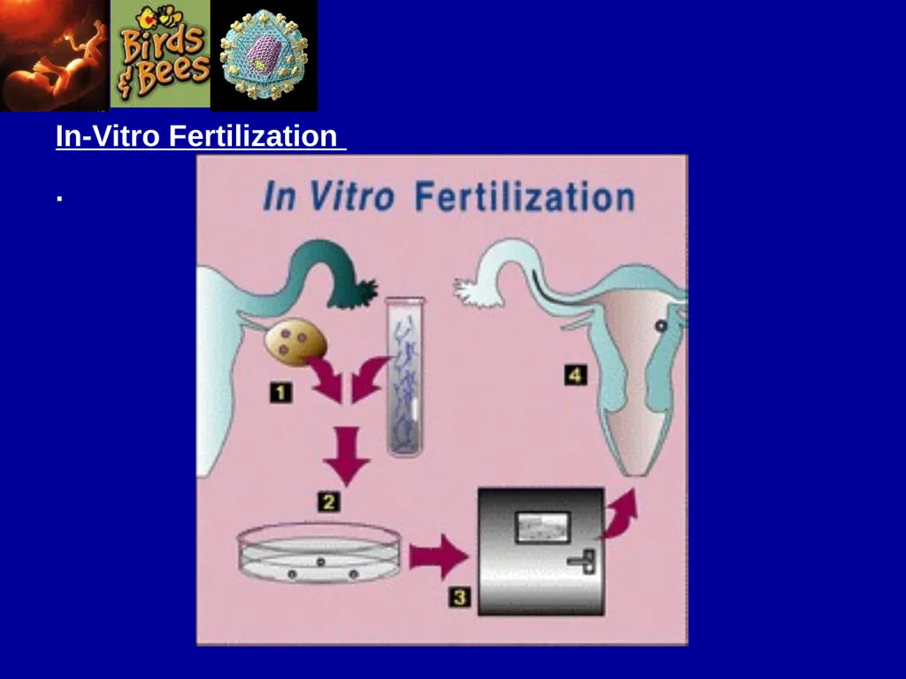 Pre – natal testing what is it and why do - slide 15 of 23