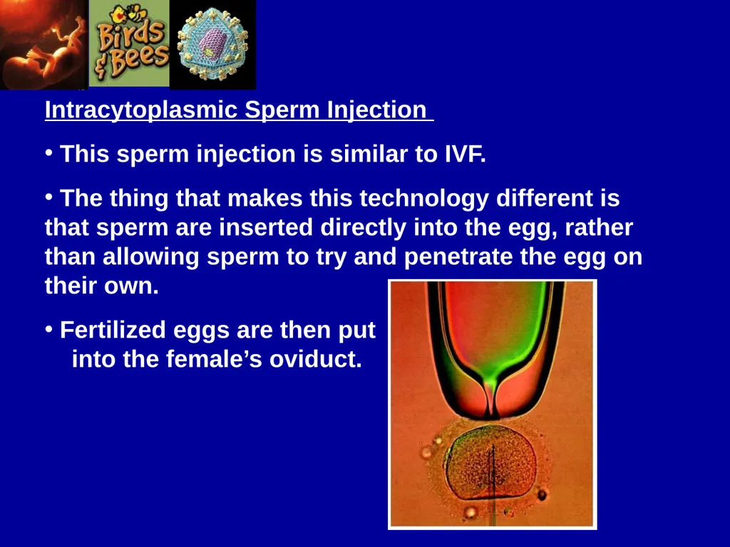 Pre – natal testing what is it and why do - slide 17 of 23
