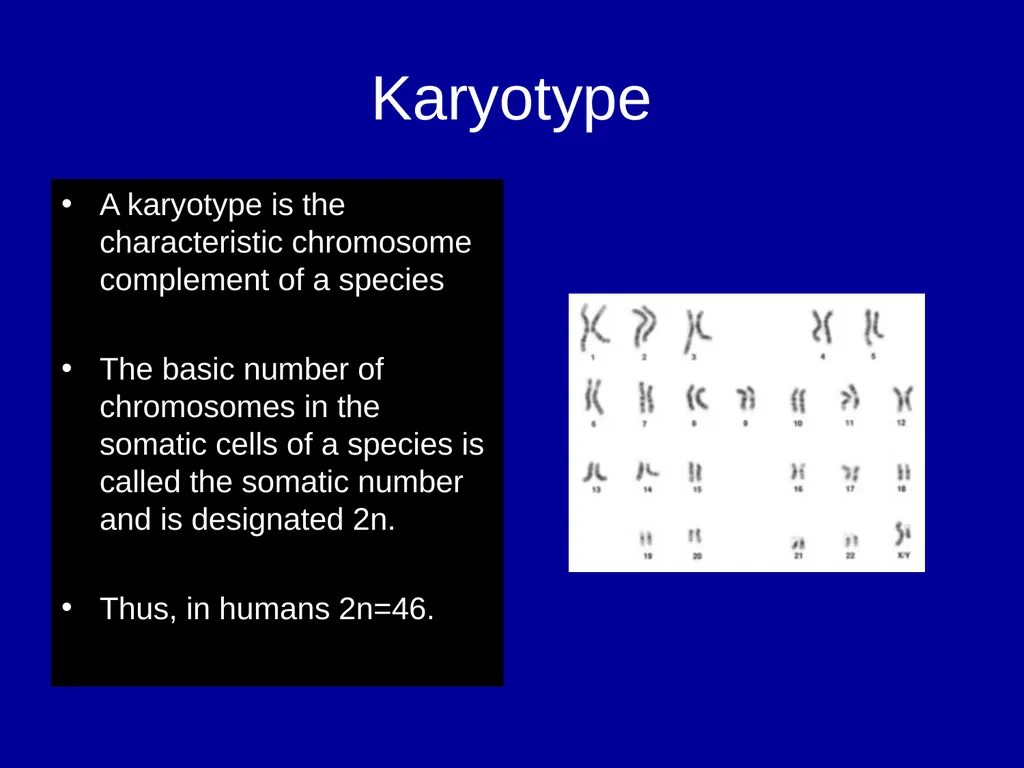 Pre – natal testing what is it and why do - slide 8 of 23