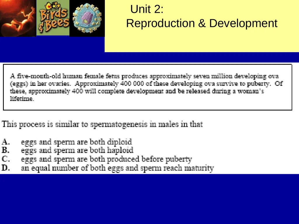 Pre – natal testing what is it and why do - slide 22 of 23