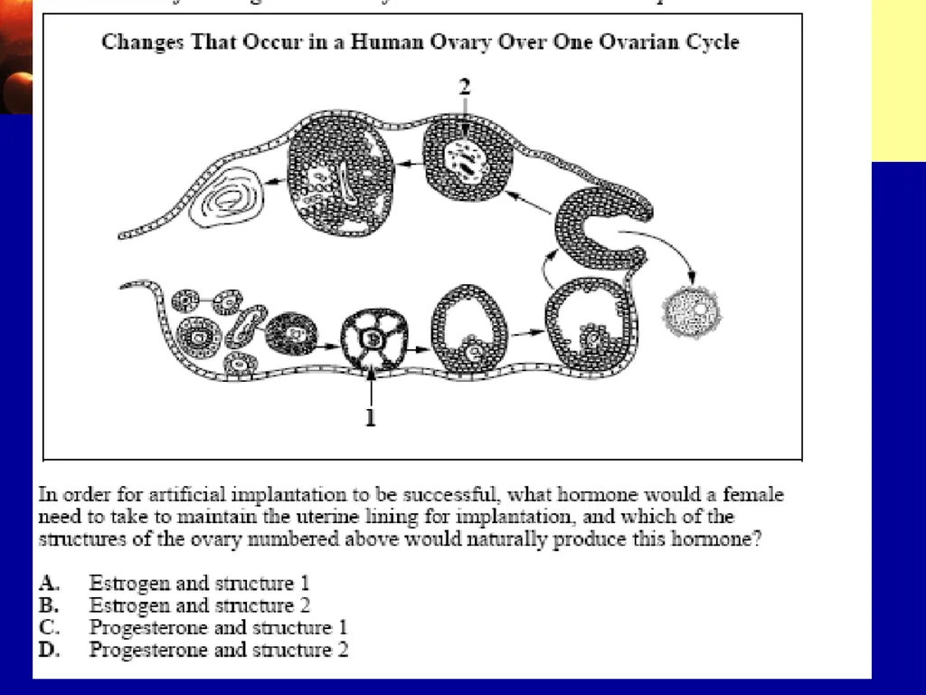 Pre – natal testing what is it and why do - slide 23 of 23