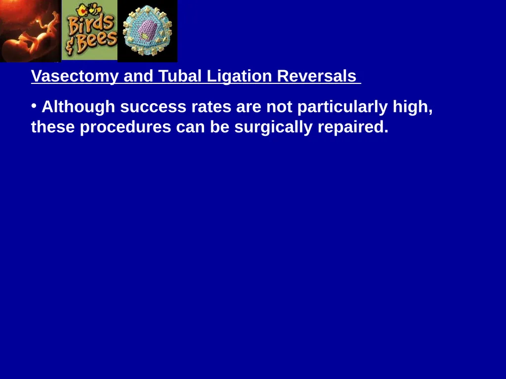 Pre – natal testing what is it and why do - slide 19 of 23