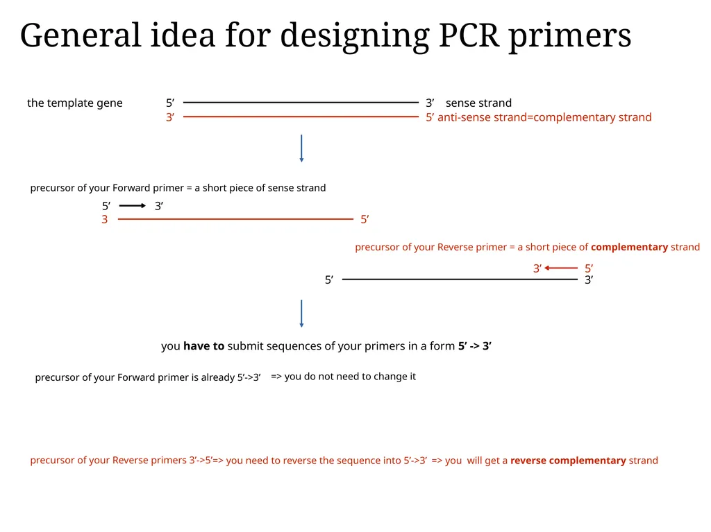 Primer design General rules for selecting GOI It - slide 14 of 18