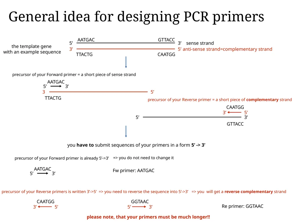 Primer design General rules for selecting GOI It - slide 15 of 18