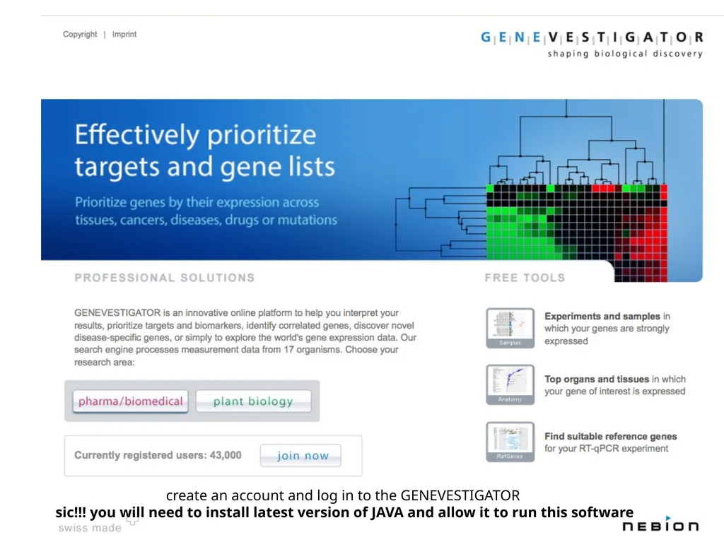 Primer design General rules for selecting GOI It - slide 4 of 18