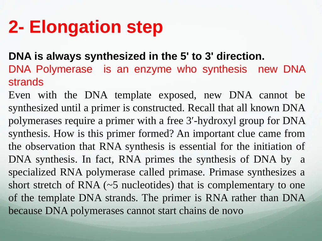 8th and 9th lectures in molecular biology DNA - slide 12 of 36