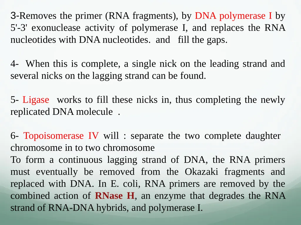 8th and 9th lectures in molecular biology DNA - slide 22 of 36