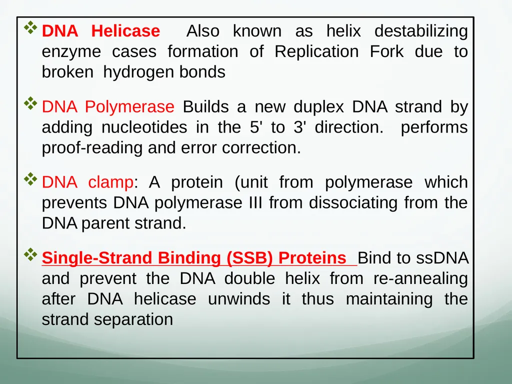 8th and 9th lectures in molecular biology DNA - slide 26 of 36