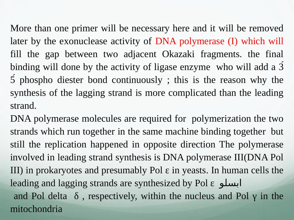 8th and 9th lectures in molecular biology DNA - slide 18 of 36