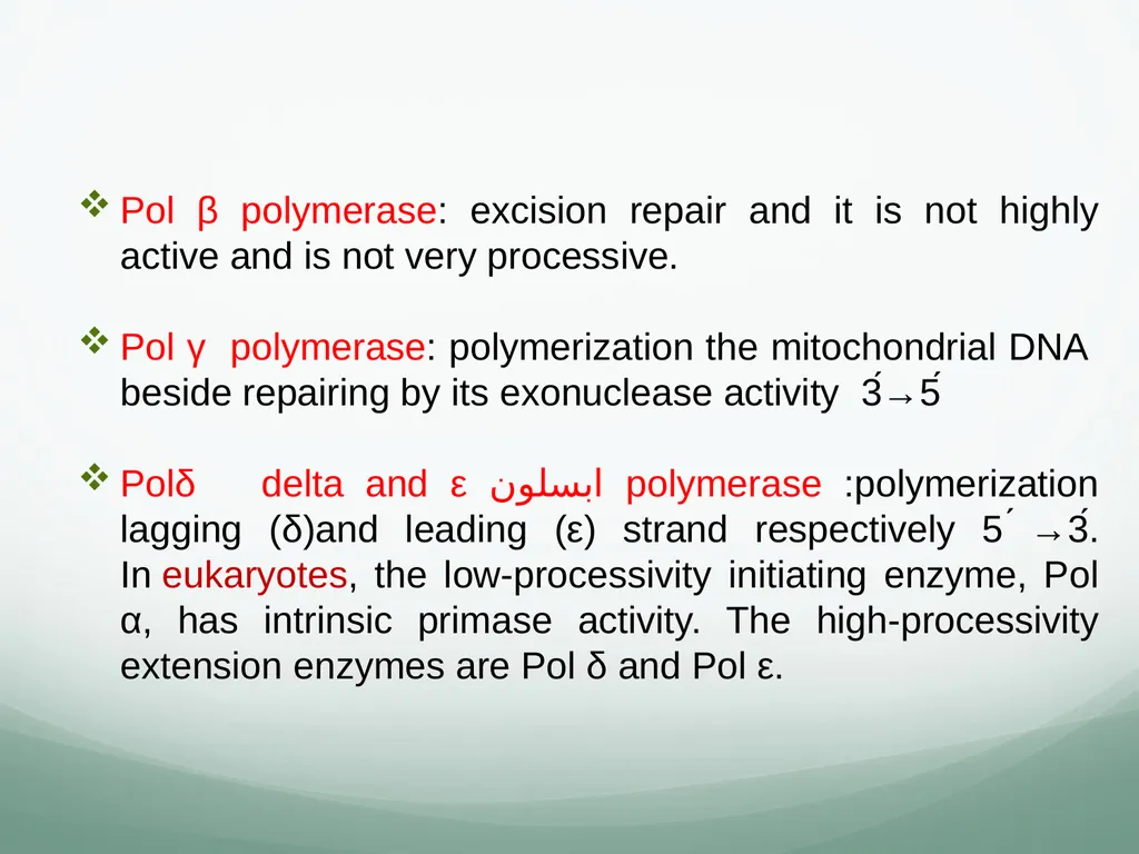 8th and 9th lectures in molecular biology DNA - slide 29 of 36