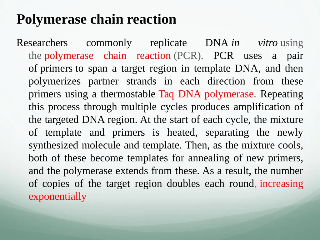 8th and 9th lectures in molecular biology DNA - slide 35 of 36