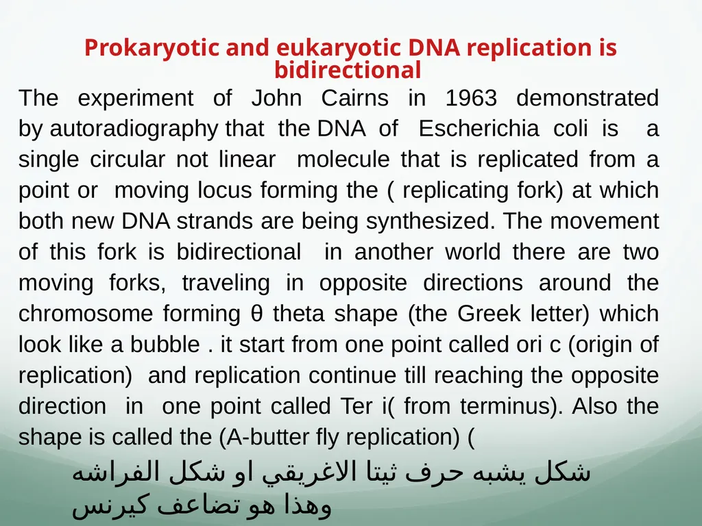 8th and 9th lectures in molecular biology DNA - slide 9 of 36