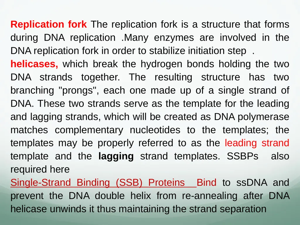 8th and 9th lectures in molecular biology DNA - slide 6 of 36