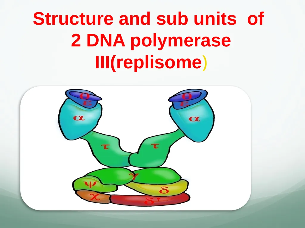 8th and 9th lectures in molecular biology DNA - slide 33 of 36