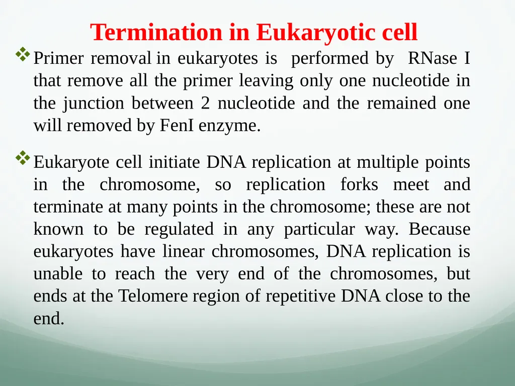 8th and 9th lectures in molecular biology DNA - slide 23 of 36