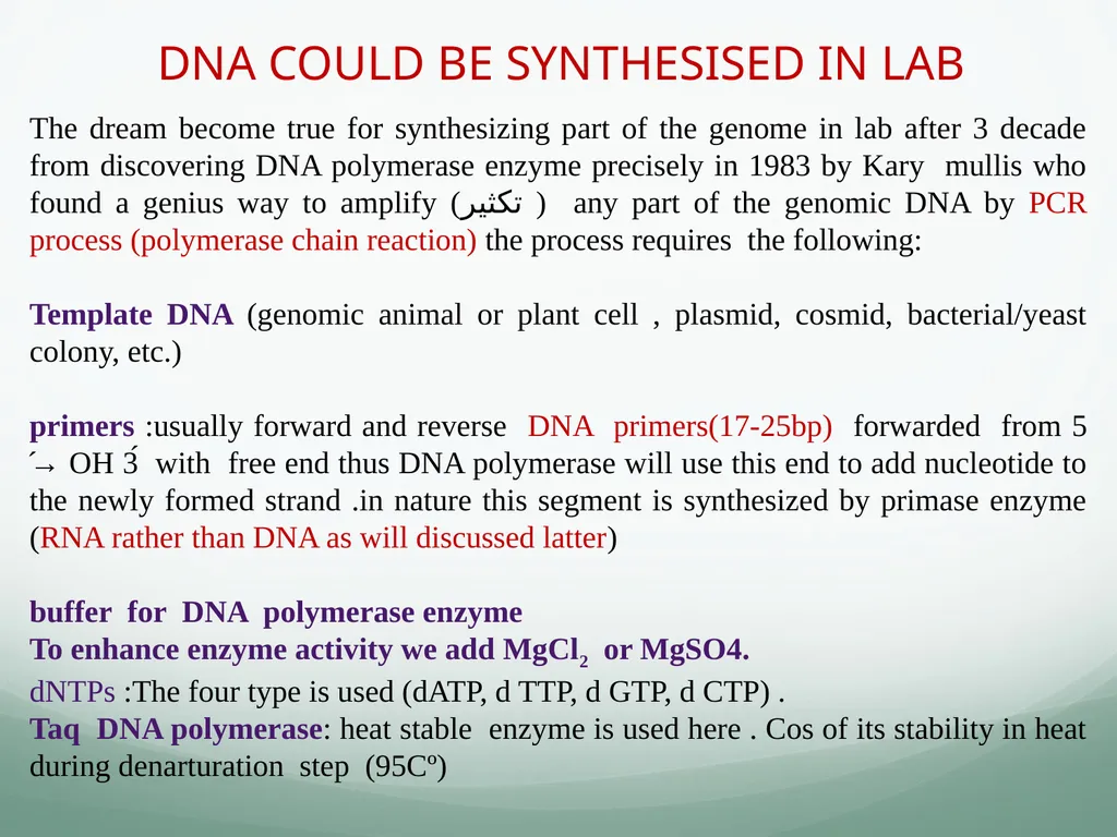 8th and 9th lectures in molecular biology DNA - slide 34 of 36
