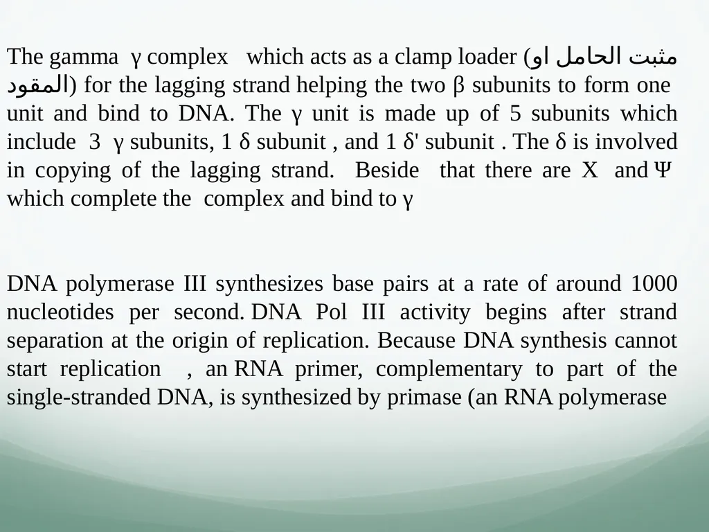 8th and 9th lectures in molecular biology DNA - slide 32 of 36