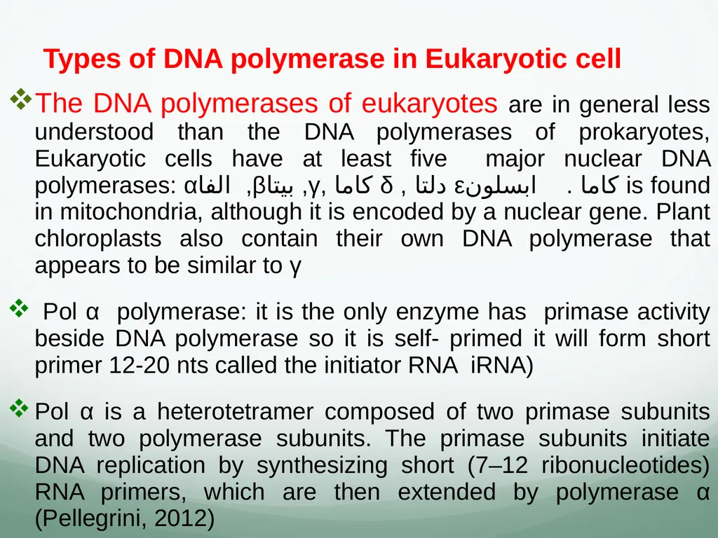 8th and 9th lectures in molecular biology DNA - slide 28 of 36