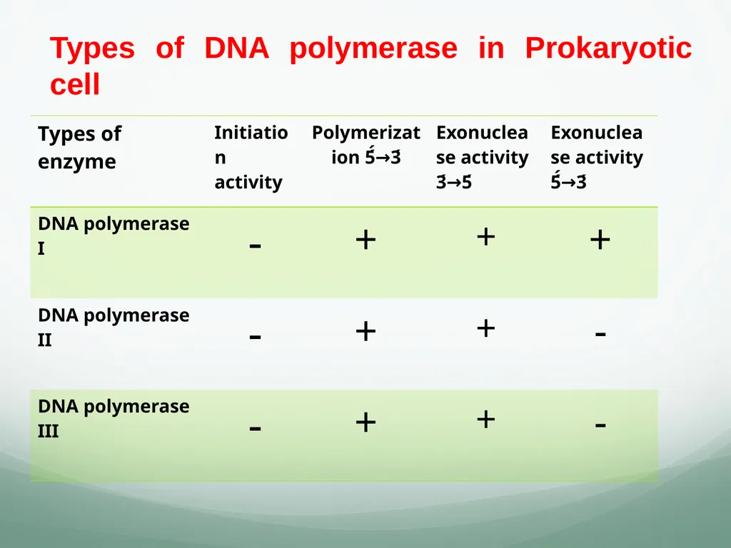 8th and 9th lectures in molecular biology DNA - slide 27 of 36