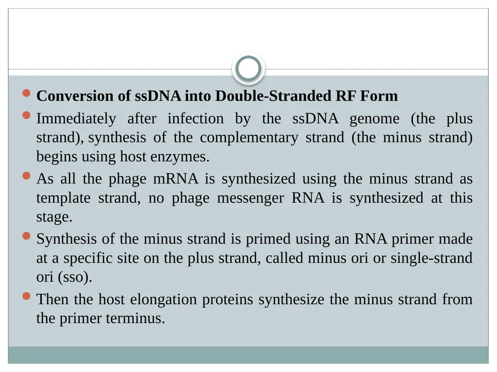Dr. Irshad ur Reman Replication strategies of - slide 5 of 15