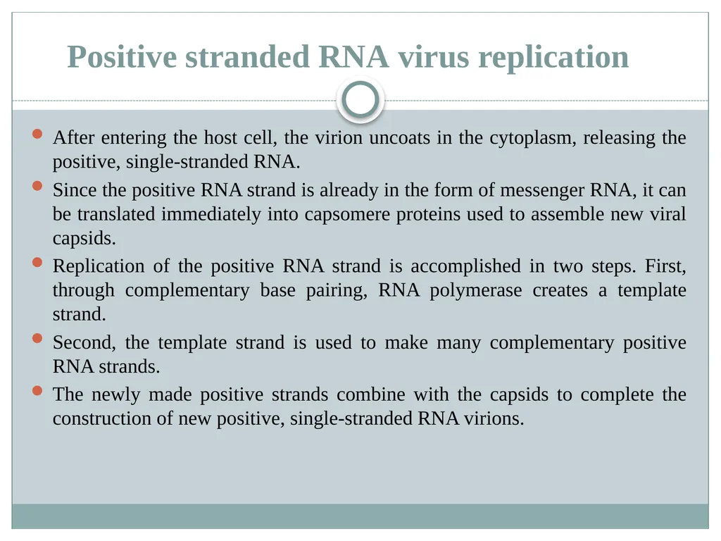 Dr. Irshad ur Reman Replication strategies of - slide 13 of 15