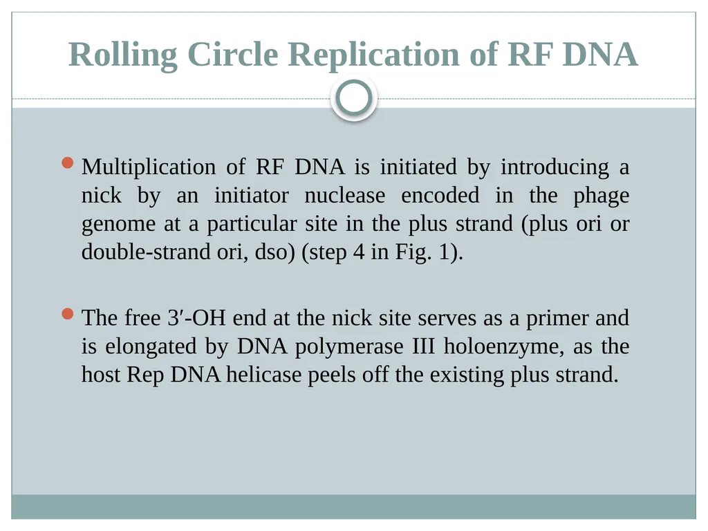 Dr. Irshad ur Reman Replication strategies of - slide 7 of 15