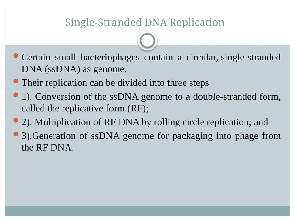 Dr. Irshad ur Reman Replication strategies of - slide 4 of 15