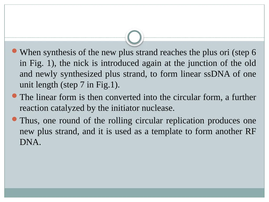 Dr. Irshad ur Reman Replication strategies of - slide 8 of 15
