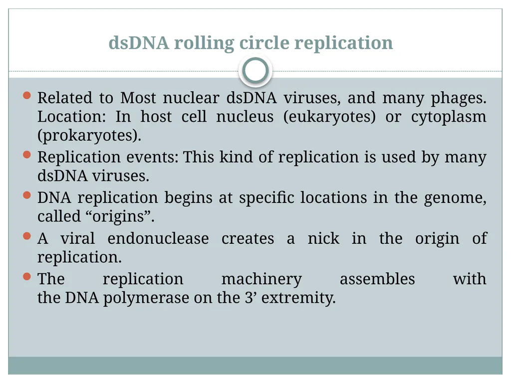 Dr. Irshad ur Reman Replication strategies of - slide 10 of 15