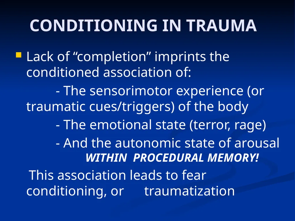 DISSOCIATION THEORY, NEUROPLASTICITY AND THE - slide 12 of 98