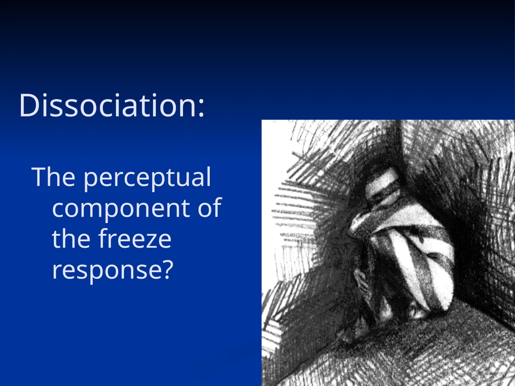 DISSOCIATION THEORY, NEUROPLASTICITY AND THE - slide 59 of 98