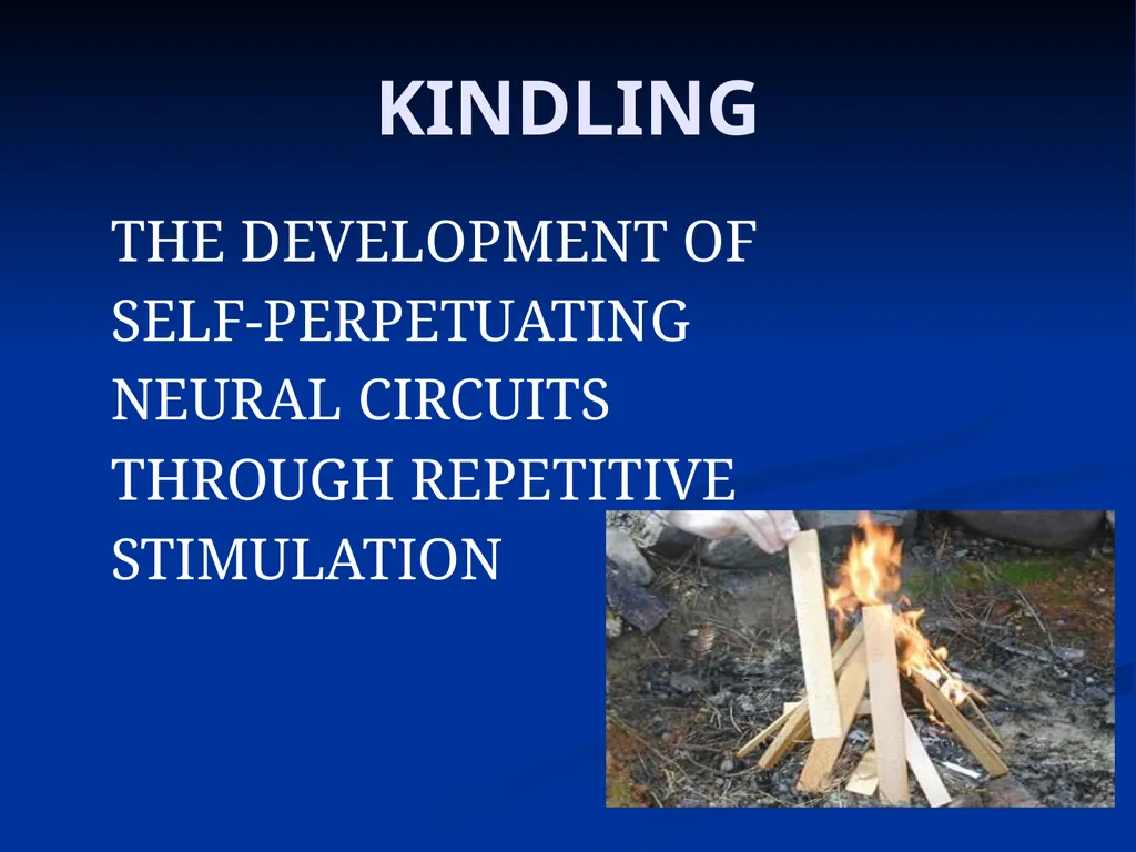 DISSOCIATION THEORY, NEUROPLASTICITY AND THE - slide 15 of 98