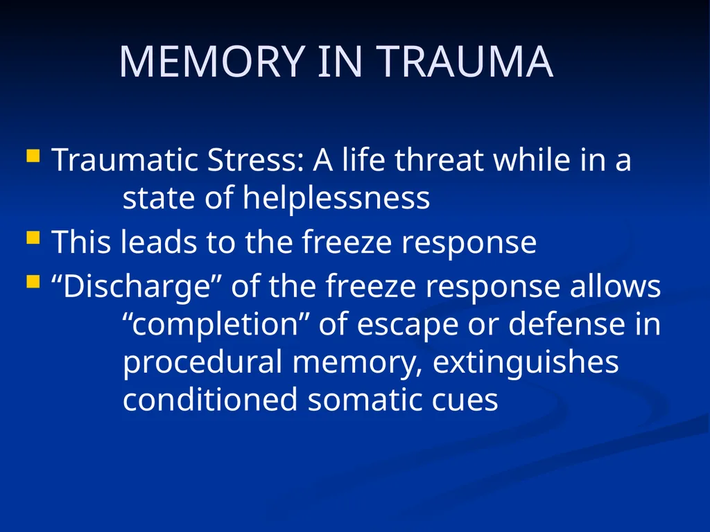 DISSOCIATION THEORY, NEUROPLASTICITY AND THE - slide 11 of 98