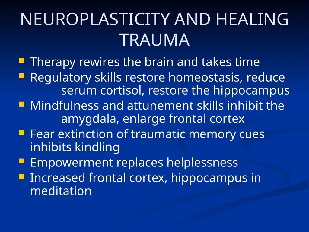 DISSOCIATION THEORY, NEUROPLASTICITY AND THE - slide 85 of 98