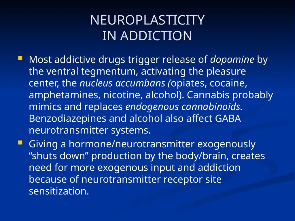 DISSOCIATION THEORY, NEUROPLASTICITY AND THE - slide 83 of 98