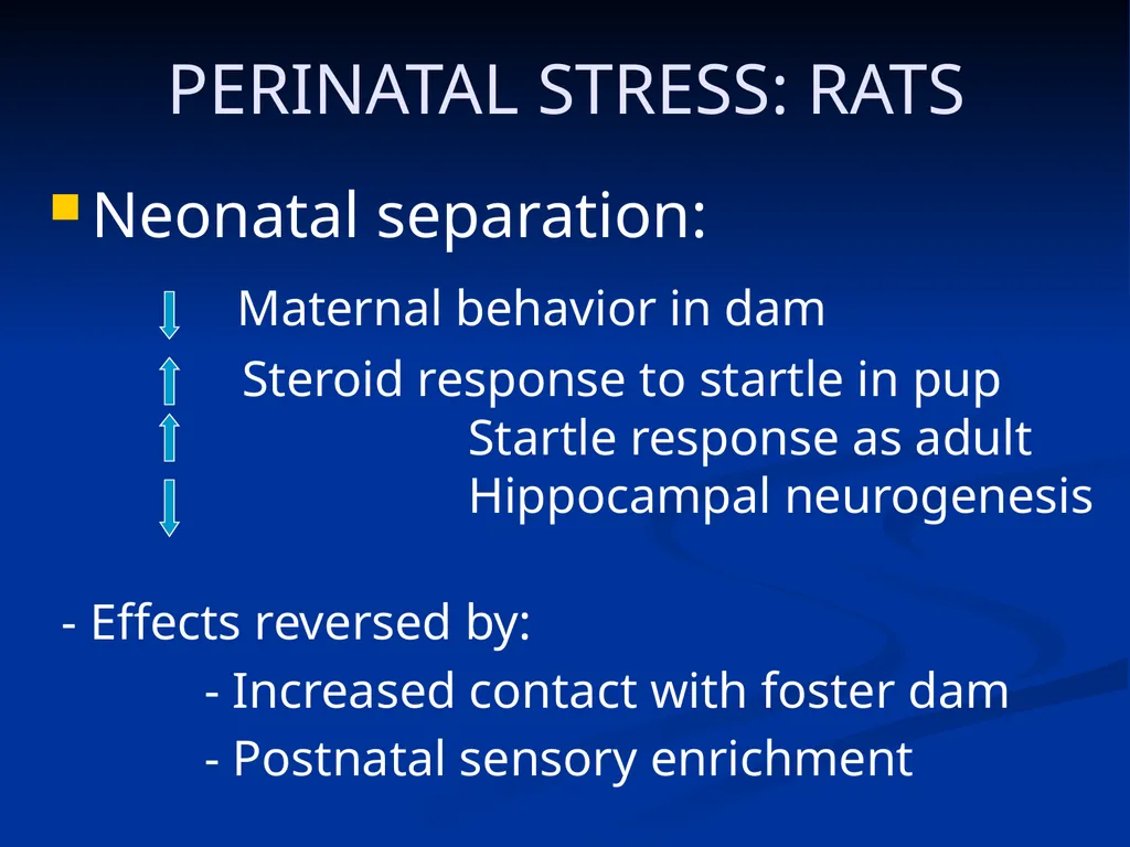 DISSOCIATION THEORY, NEUROPLASTICITY AND THE - slide 23 of 98