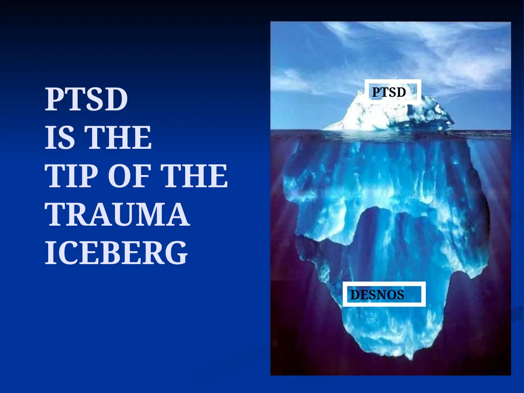 DISSOCIATION THEORY, NEUROPLASTICITY AND THE - slide 32 of 98