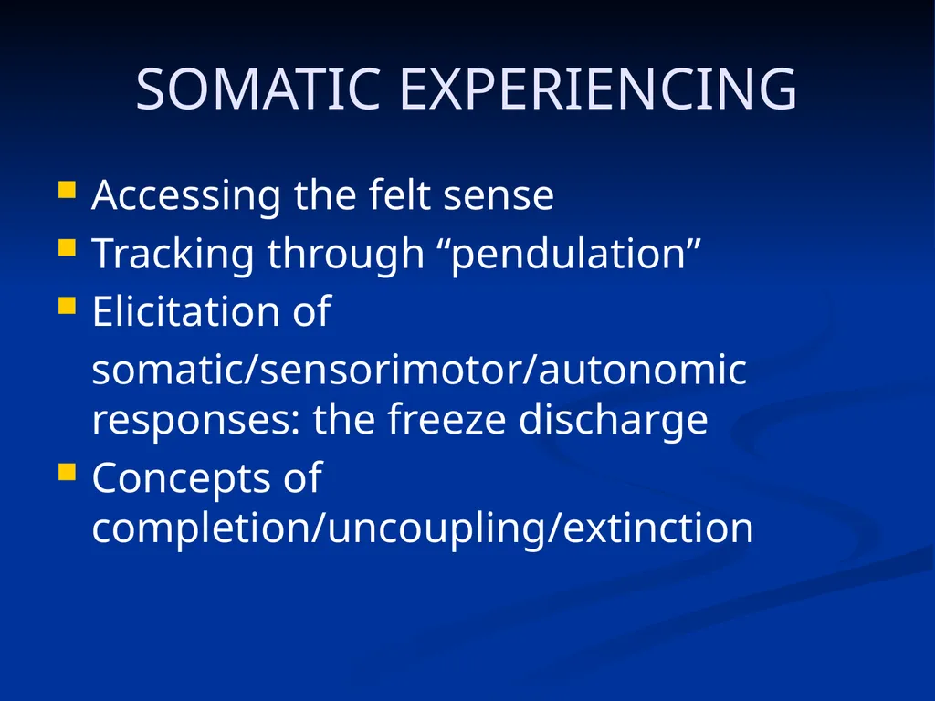 DISSOCIATION THEORY, NEUROPLASTICITY AND THE - slide 92 of 98