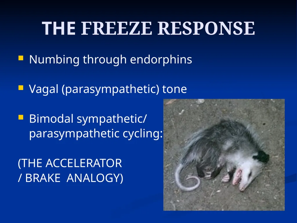 DISSOCIATION THEORY, NEUROPLASTICITY AND THE - slide 4 of 98